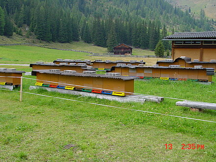 Wanderbienenstand Almrosentracht Unterstalleralm Wanderbienenstand Almrosentracht Unterstalleralm