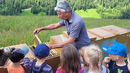 Wabe mit der Bienenkönigin wird gesucht Wabe mit der Bienenkönigin wird gesucht